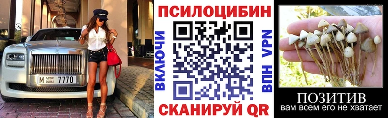 Купить  Кумертау  Галлюциногенные грибы Psilocybe 
